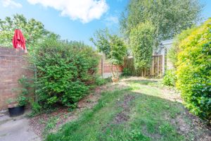 Photo 3- click for photo gallery